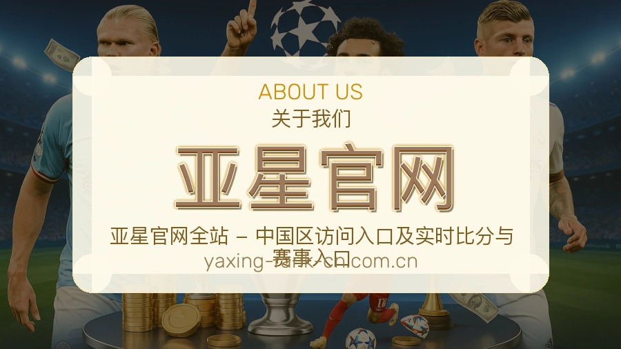 亚星官网比赛数据服务说明